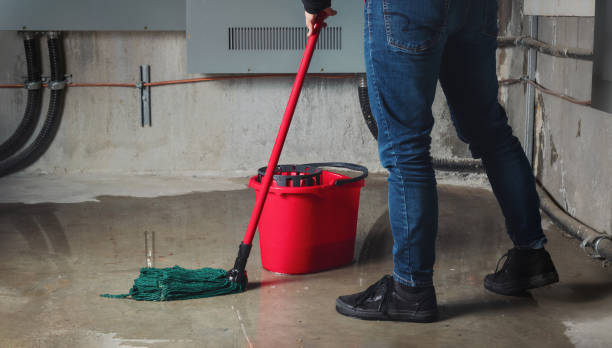  Singac, NJ Water damage restoration Pros