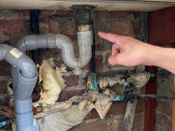 Best Flood restoration services  in Singac, NJ